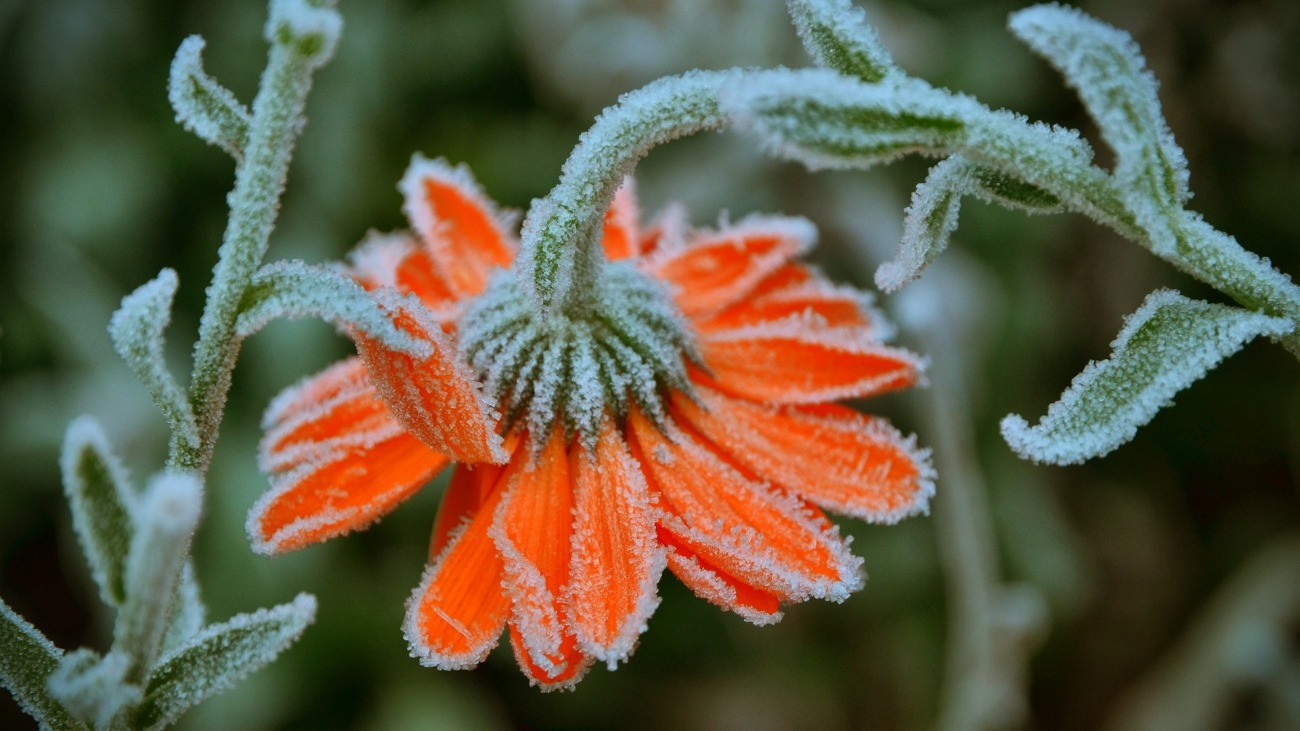 Számos helyen fagyott csütörtök reggel – de még hidegebb jön