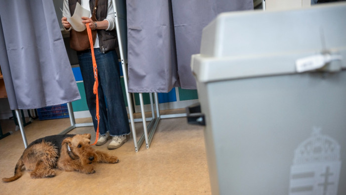 Közvélemény-kutatók: a fiatalok magas részvétele lehetett a döntő