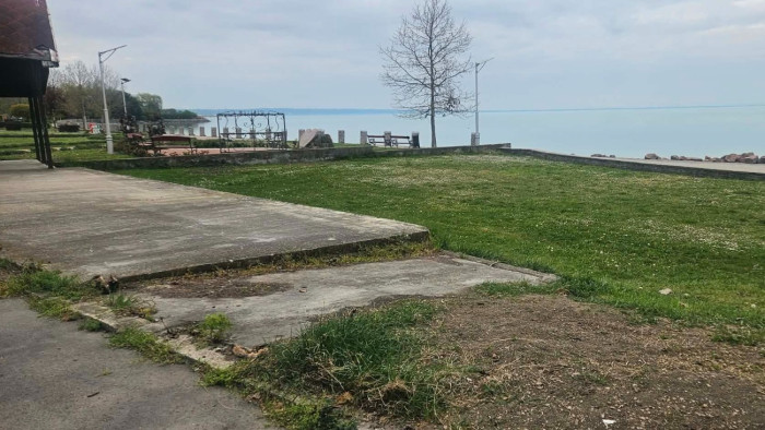 Egzotikus kis placc létesül Kenesén