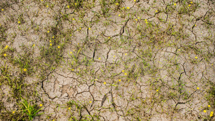 Riasztó képet mutat itthon az aszály – körkép