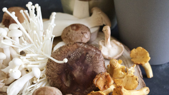 Hűtött gombát hívnak vissza a boltokból – figyeljen, aki ilyet vett!