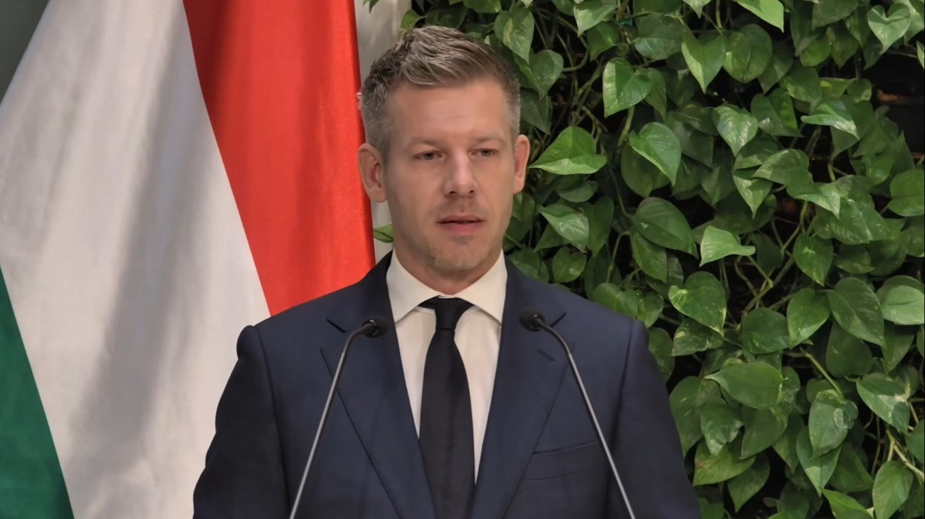 Magyar Péter ismerteti a kegyelmi ügy részleteit
