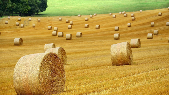 Felülvizsgálja az agrárkamara szabályozását a kormány