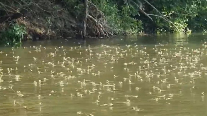 Tisza: a rendőrség komoly figyelmeztetést adott ki