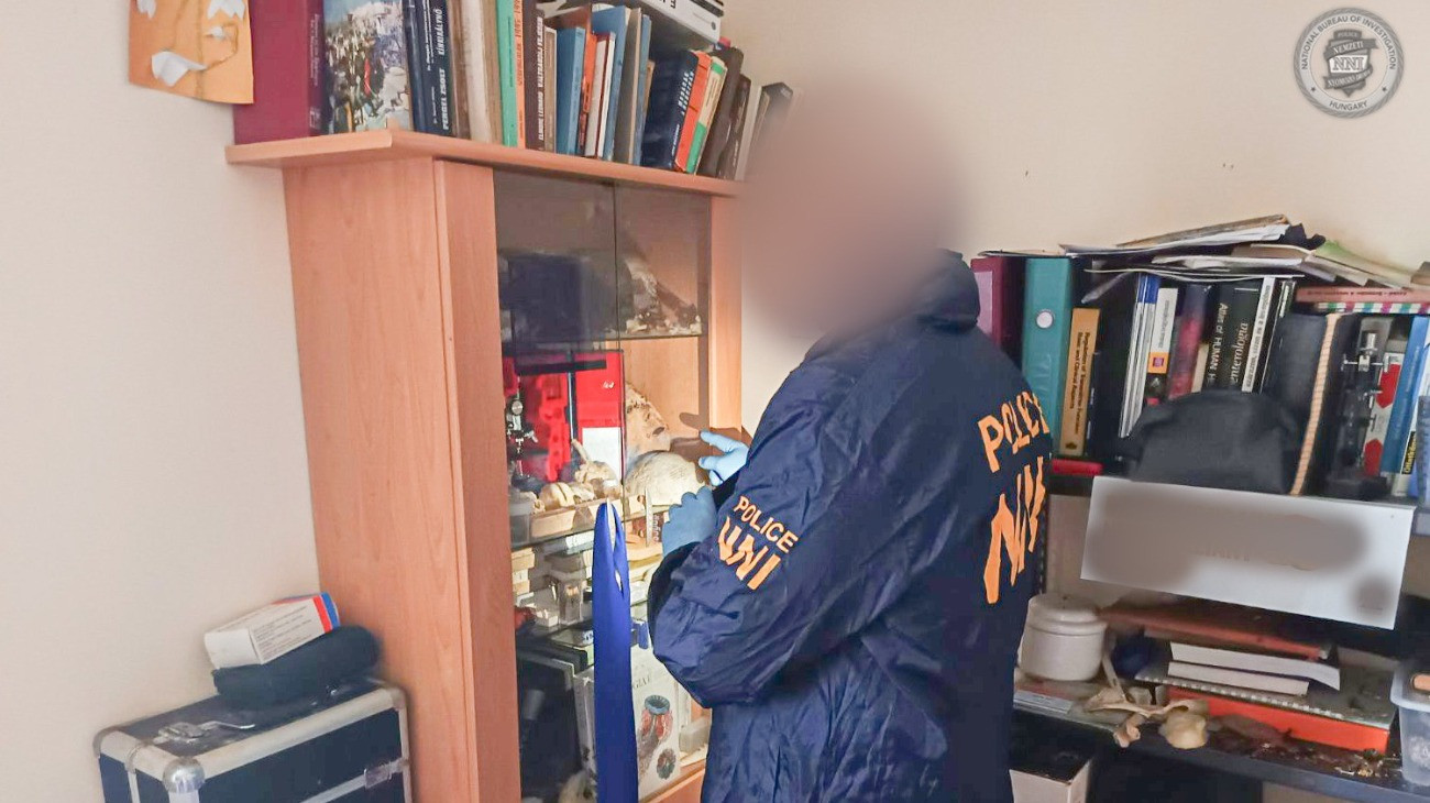 Bizarr részletek: emberi testrészeket gyűjtött, még holttesteket is kiásott a beteghordozó – 18+