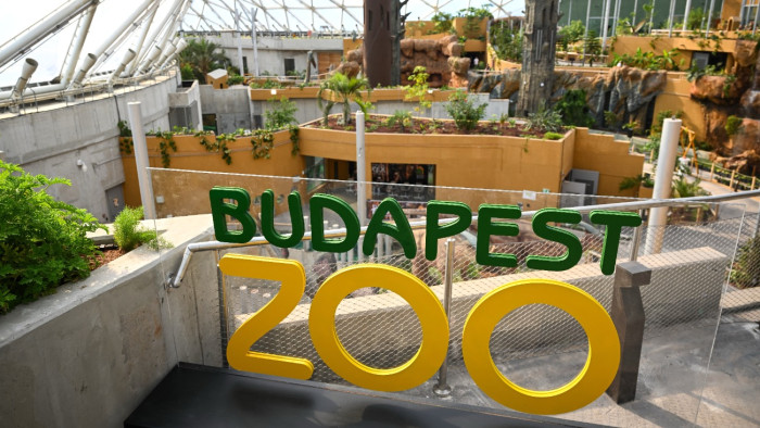 Trópusi hangulat Budapesten – megnyílt a Biodóm