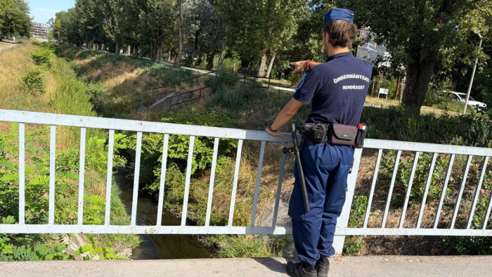 Nagy bajt észleltek a Rákos-pataknál – fotók, figyelmeztetés