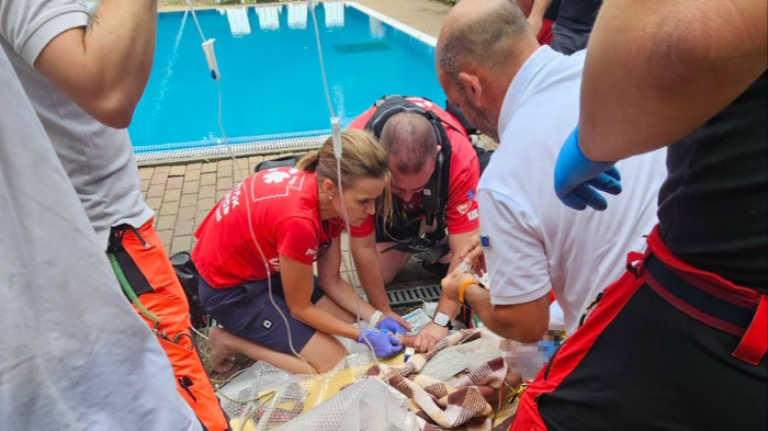 Itt a balatoni halálstatisztika, van egy új, vészjósló jelenség