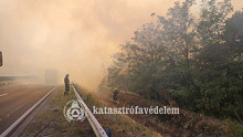 Kigyulladt a fenyves a Balaton közelében