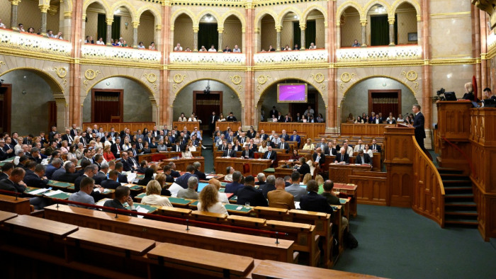 Magyar Péter levelet írt Forsthoffer Ágnesnek