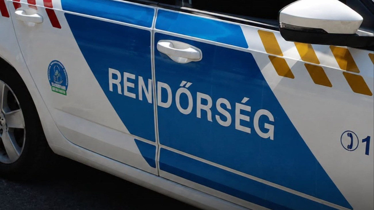 Magyar rendőrök találtak meg a német kórházból elvitt beteg csecsemőt