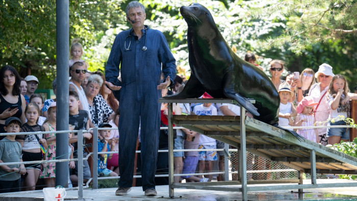 Ilyen iskolai programról álmodozhat minden gyerek