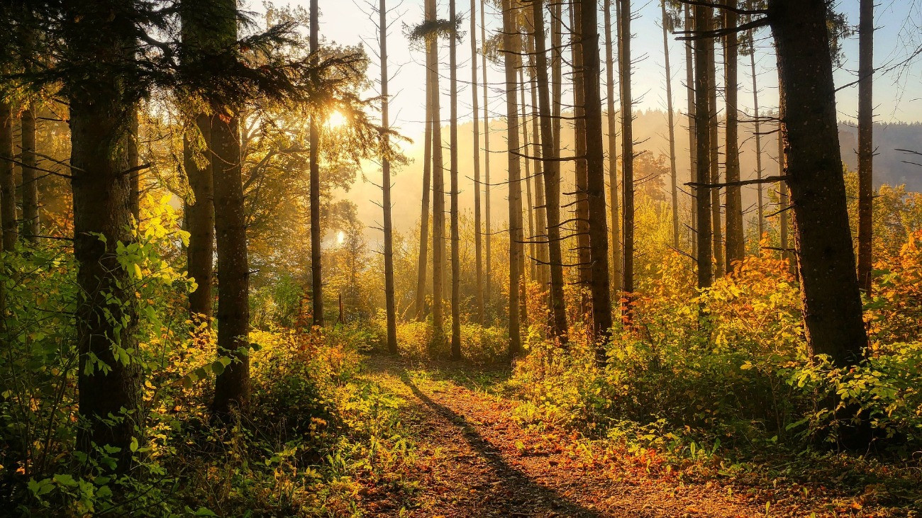 Nyugtalanító időjárás-jelentés érkezett
