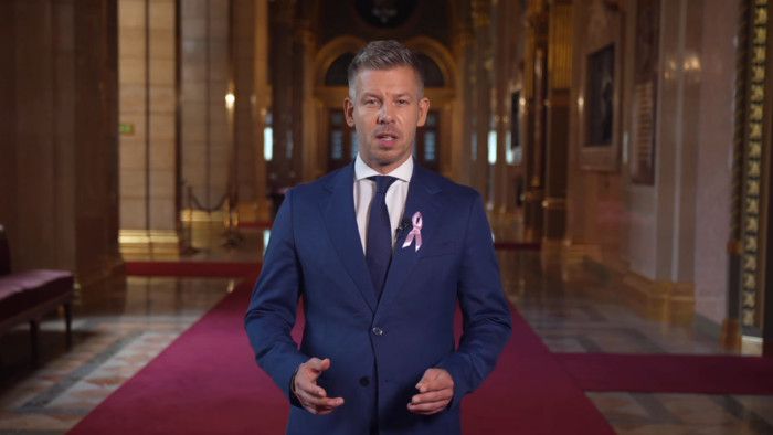 Magyar Péter részletesen elmagyarázta a gyermekvédelmi törvény újításait – videó